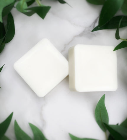 Coconuts & Cashmere Shave Bar