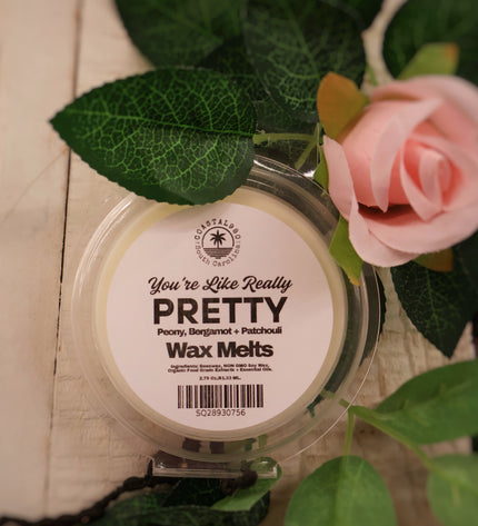 You're Like Really Pretty Wax Melts