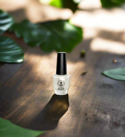 Dear Diary Nail Polish